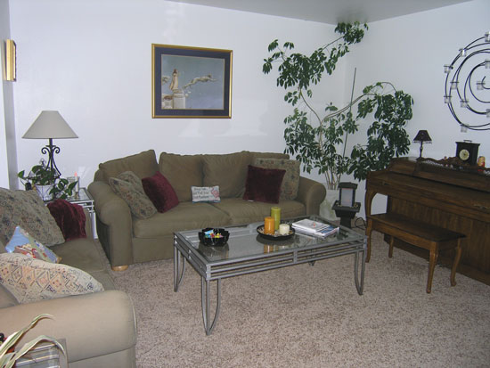 Before Aimee's living room was a little drab and not very unique. She's looking for a new way to liven things up and make their living room more welcoming.